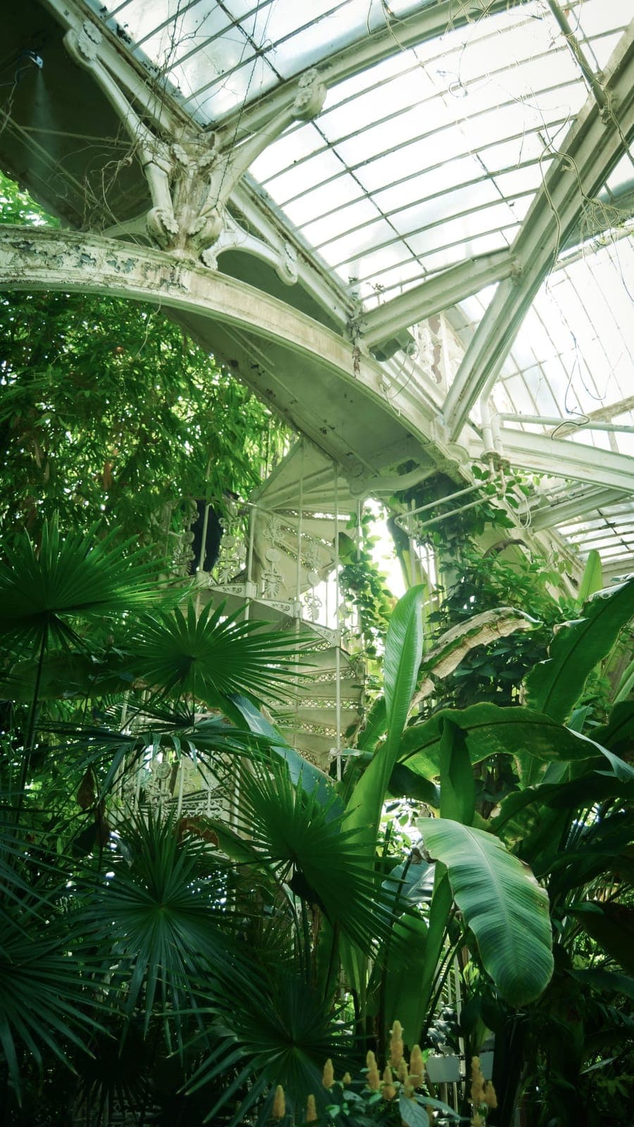 Green Rio: the Lagoa, Parque Lage and the Botanical Garden